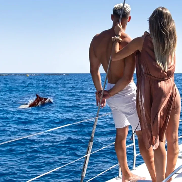Abrazo Catamaran Tenerife