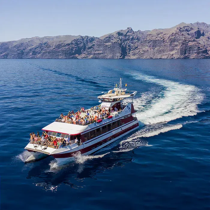 Royal Delfin Tenerife, Whale & Dolphin Watching