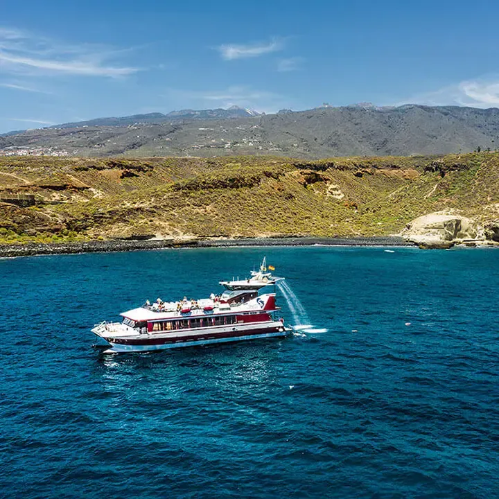 Royal Delfin Tenerife, Whale & Dolphin Watching