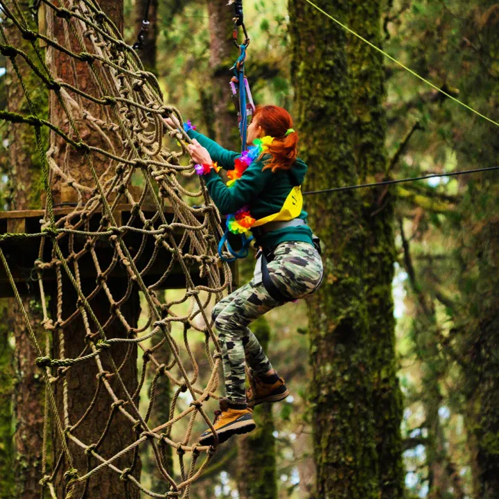 Forestal Park Tenerife, Zipline & Avonturenpark