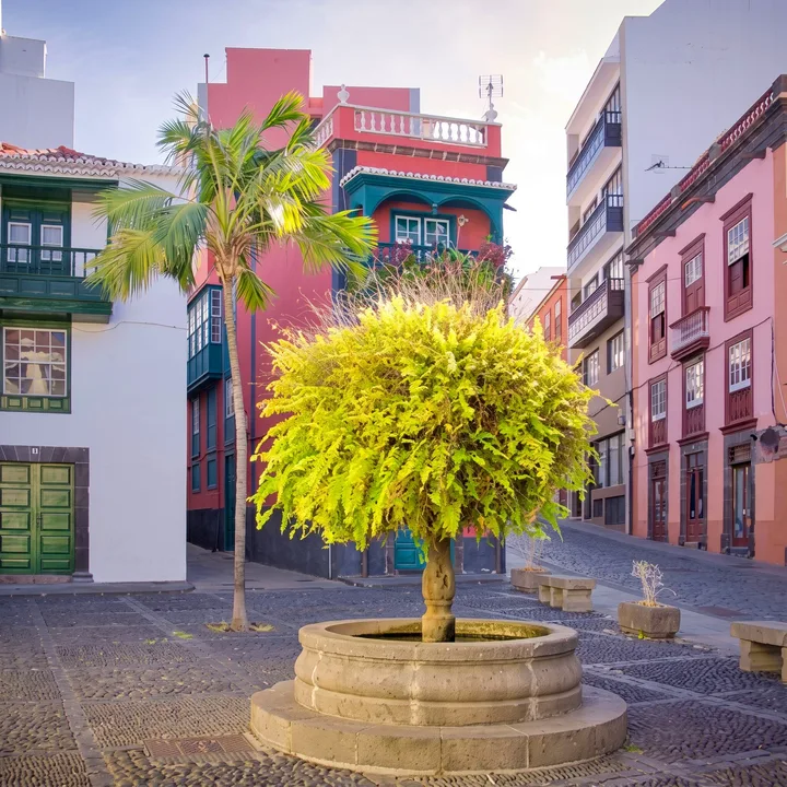 Free Tour Santa Cruz de La Palma
