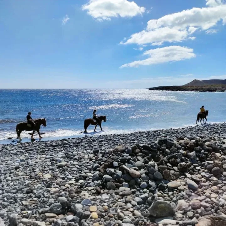 Reiten auf Teneriffa, Strand- und Wanderritte