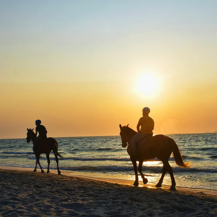 Passeggiate a cavallo a Tenerife