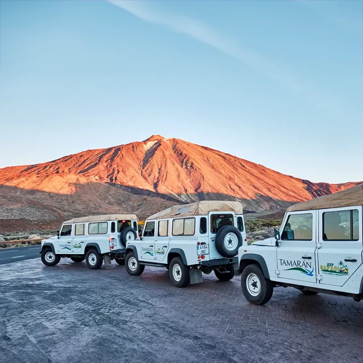 Teide & Masca Safari in Jeep