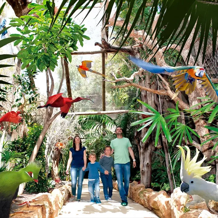 Bilhetes Jungle Park Tenerife, Shuttle Gratuito