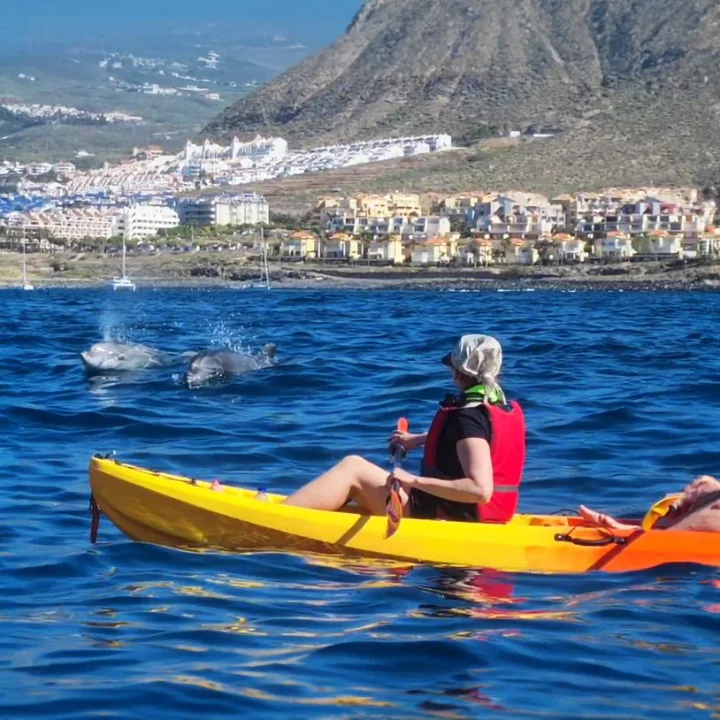 Каяк Тенерифе, Тръгва от Los Cristianos