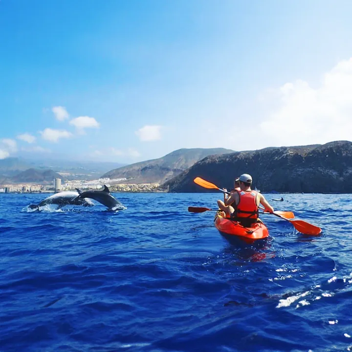 Kayaking Tenerife