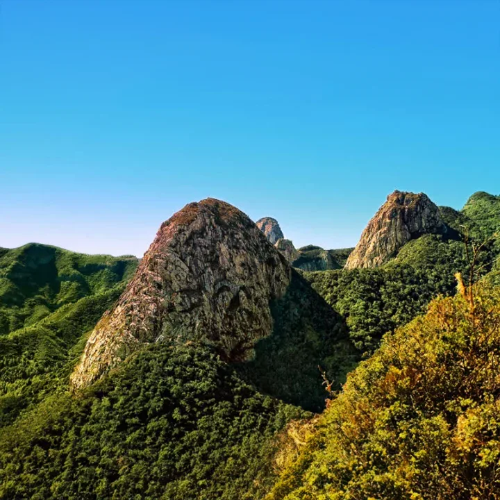 La Gomera bussiretki Teneriffalta, Garajonay ja Silbo Gomero