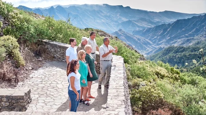 VIP Tour La Gomera, Minivan, Traghetto e Massimo 8 Persone