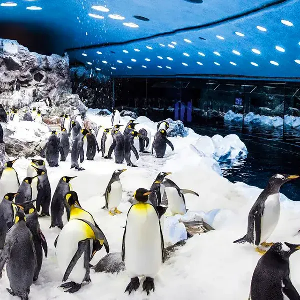 Loro Parque Tickets, Skip-the-line Entry