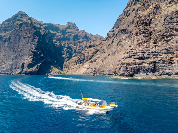 Los Rápidos Tenerife, Avvistamento Balene in Barca Piccola, 2 Ore da Los Gigantes