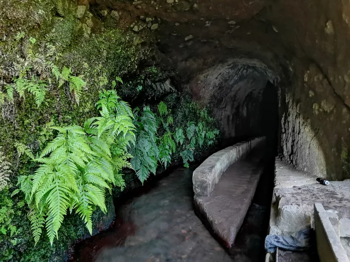 Marcos y Cordero La Palma