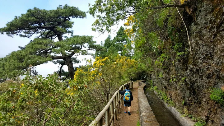 Marcos y Cordero La Palma