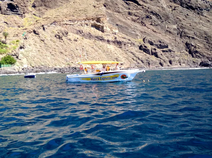 Masca Express Tenerife, Avvistamento Balene e Delfini