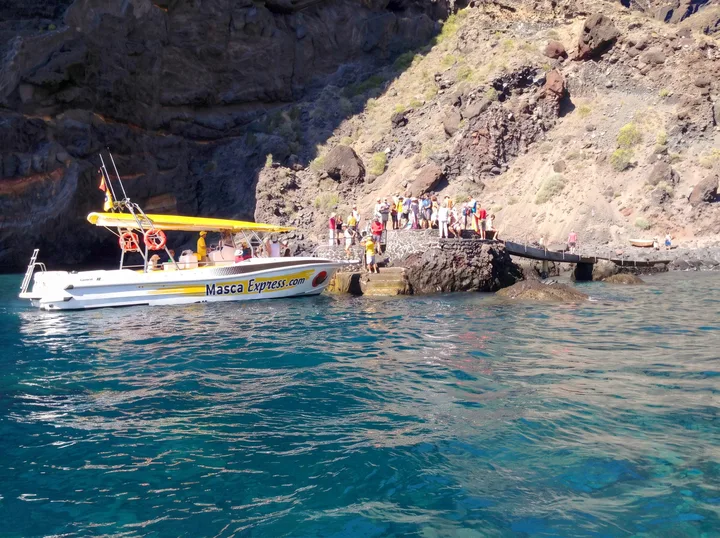 Masca Express Tenerife, Avvistamento Balene e Delfini