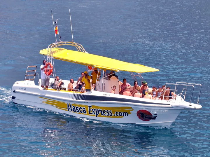 Masca Express Tenerife, Avvistamento Balene e Delfini