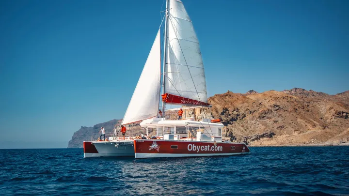 Катамаран Obycat Гран Канария