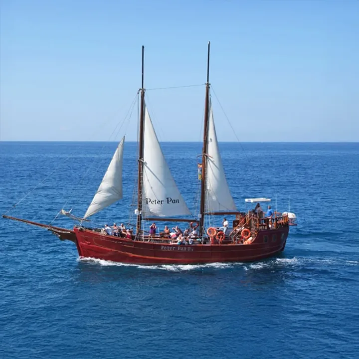Peter Pan Pirate Ship Tenerife, Hvalsafari