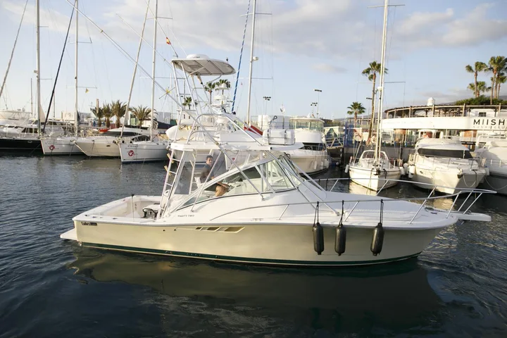 Royal Boat Charter Tenerife