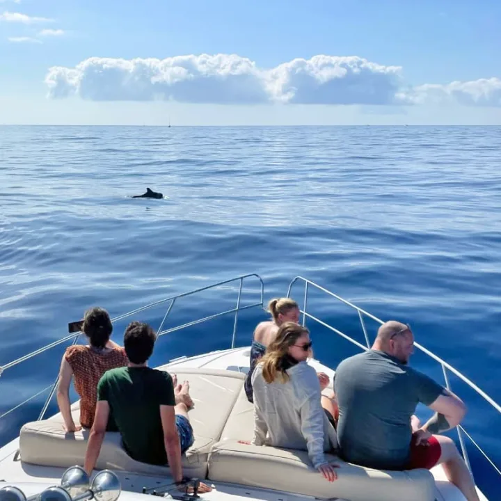 Royal Ocean jachta Tenerifė