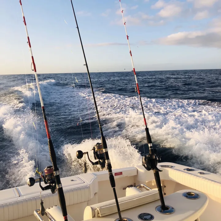 Royal Sport Fishing Tenerife, Pesca d'Altura da Costa Adeje