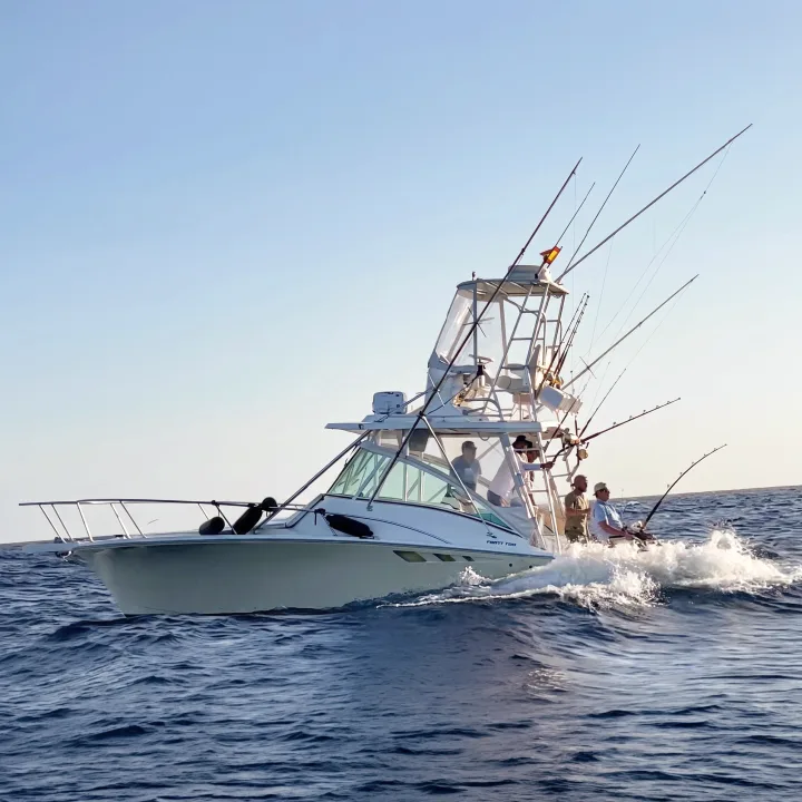 Royal Sport Fishing Tenerife