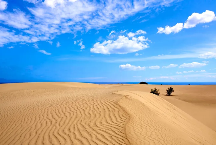 Винен тур Северна Fuerteventura