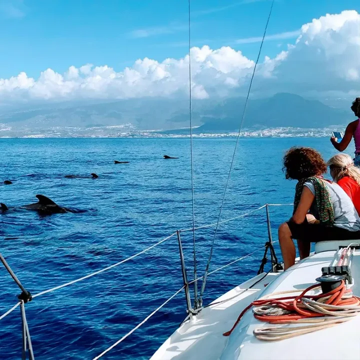 Tur cu velier în Tenerife