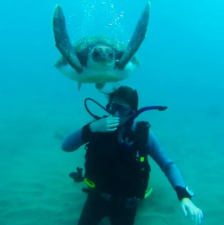 PADI Open Water Dykning Tenerife, Los Cristianos og Costa Adeje