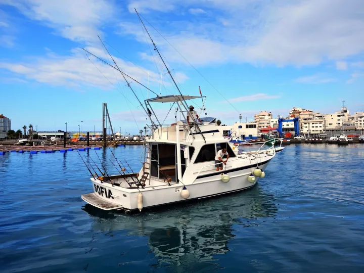 Sofia Barca da Pesca Tenerife