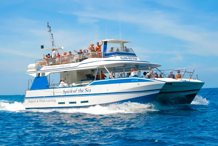 Spirit of the Sea Гран Канария, наблюдение на китове и делфини