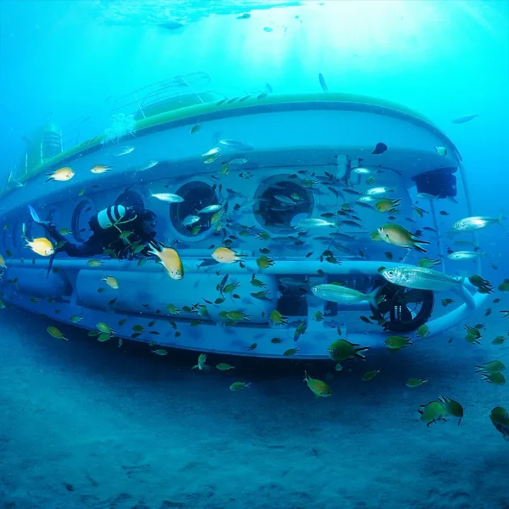 Submarine Safari Tenerife, Yellow Submarine Tour