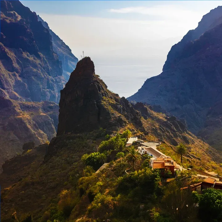 Teide e Masca in Bus, Tenerife