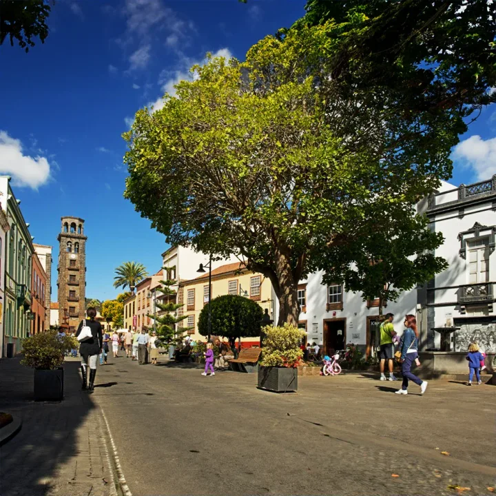 Noord-Tenerife Busreis, Santa Cruz, Taganana & La Laguna