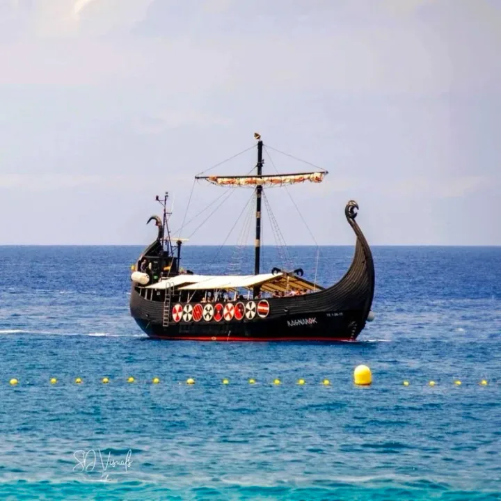 Viking Gita in Barca Tenerife