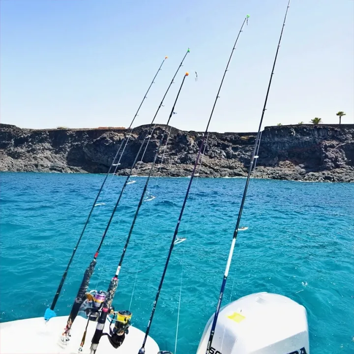 White Shark Fishing Teneriffa, Hochsee-Charter ab Marina del Sur