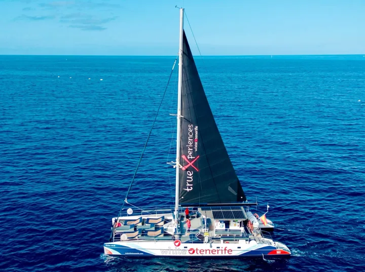 White Tenerife Catamaran