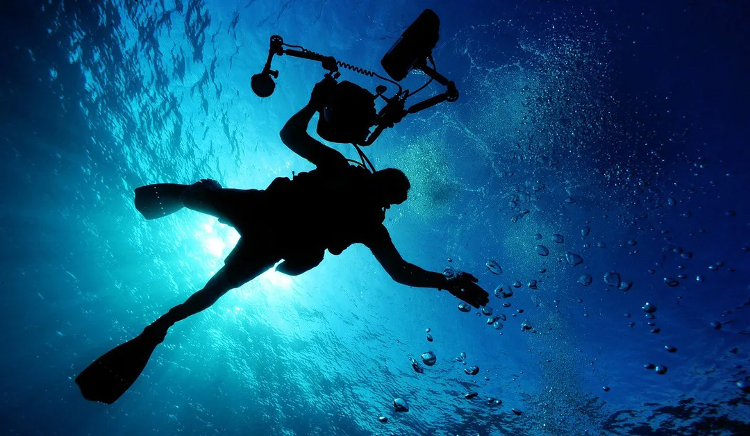Scuba diving Tenerife: dive sites, conditions, and what to expect